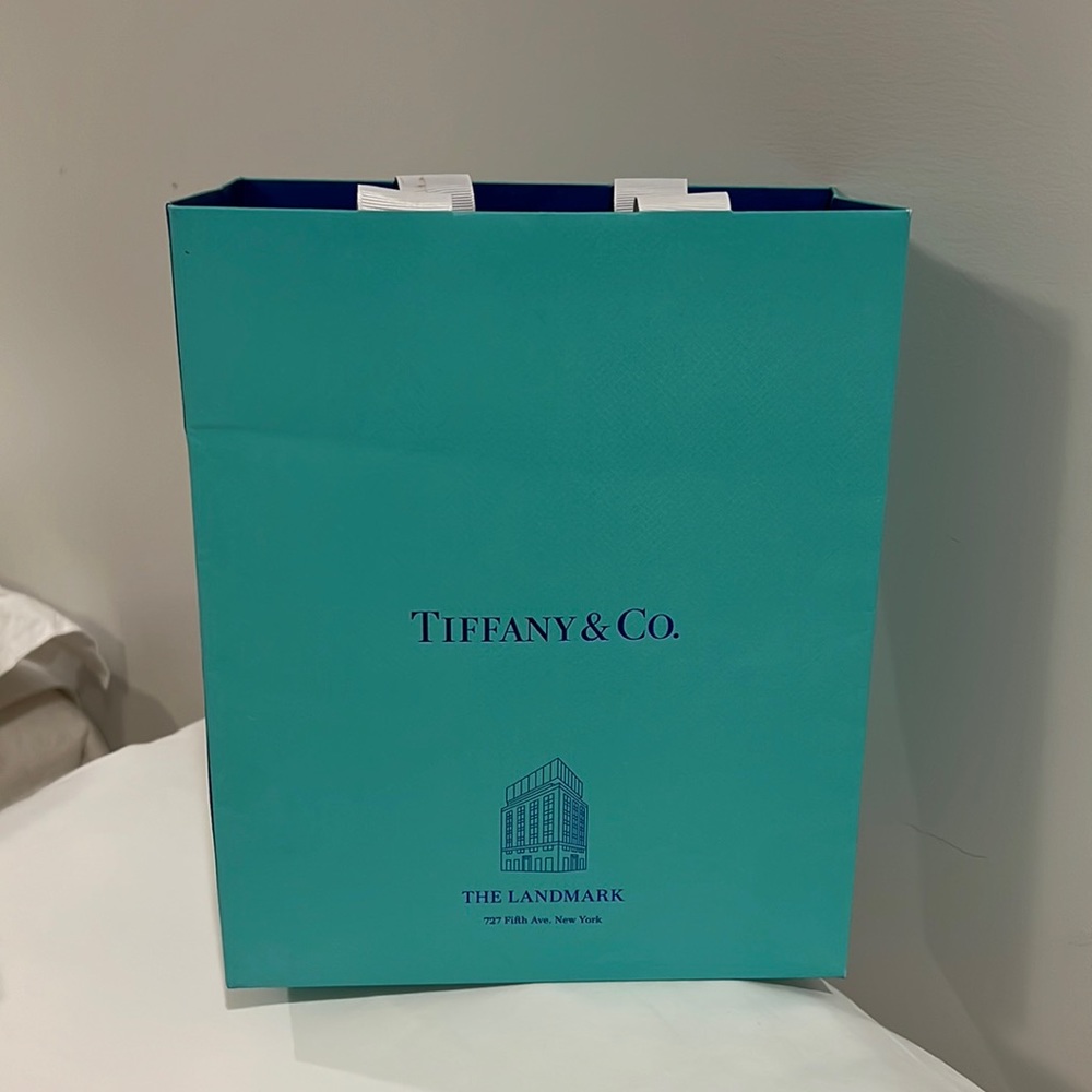 Tiffany and Co shopping bag